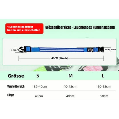Leuchtendes LED Hundehalsband für Hunde – wiederaufladbar und wasserdicht, ideal für Spaziergänge bei Nacht.
