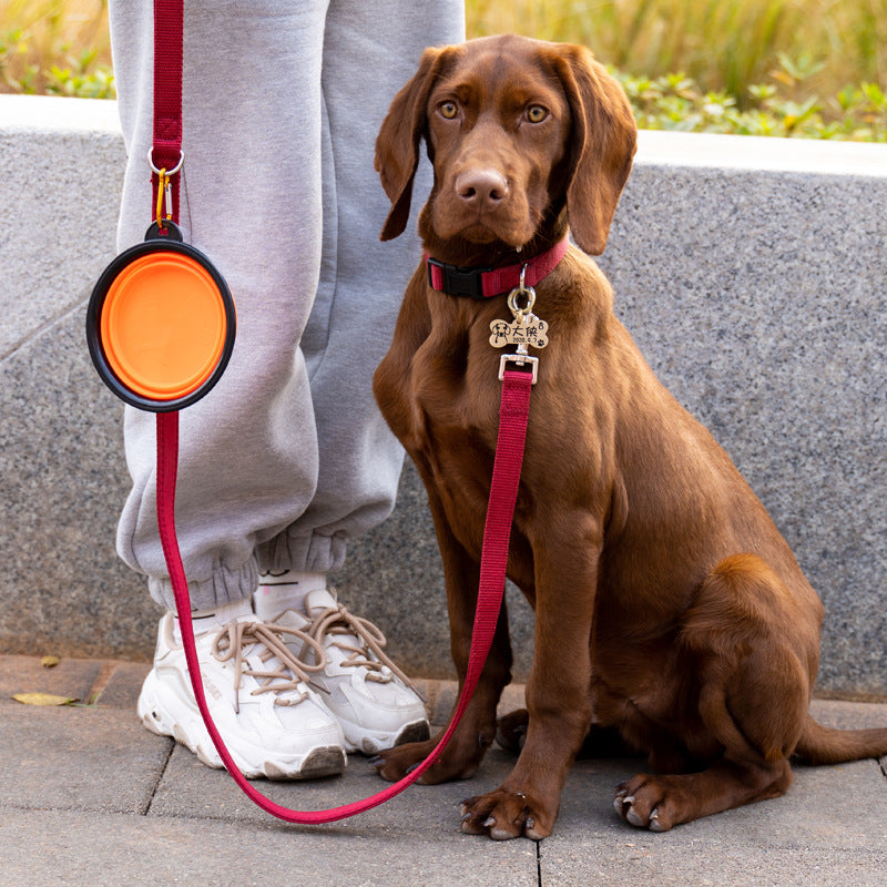 Hund beim Spaziergang mit faltbarem Reisenapf in Orange, praktischer Hundenapf für unterwegs