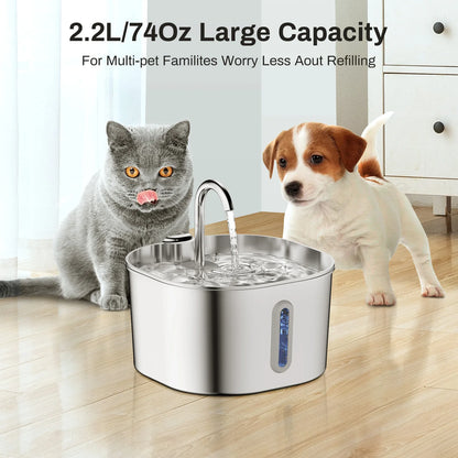Automatischer Trinkbrunnen für Katzen und Hunde mit 2.2 Liter Wassertank aus Edelstahl