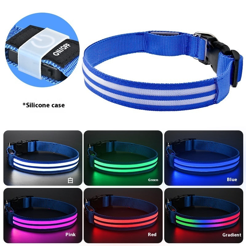 Leuchtendes LED Hundehalsband für Hunde – wiederaufladbar und wasserdicht, ideal für Spaziergänge bei Nacht.