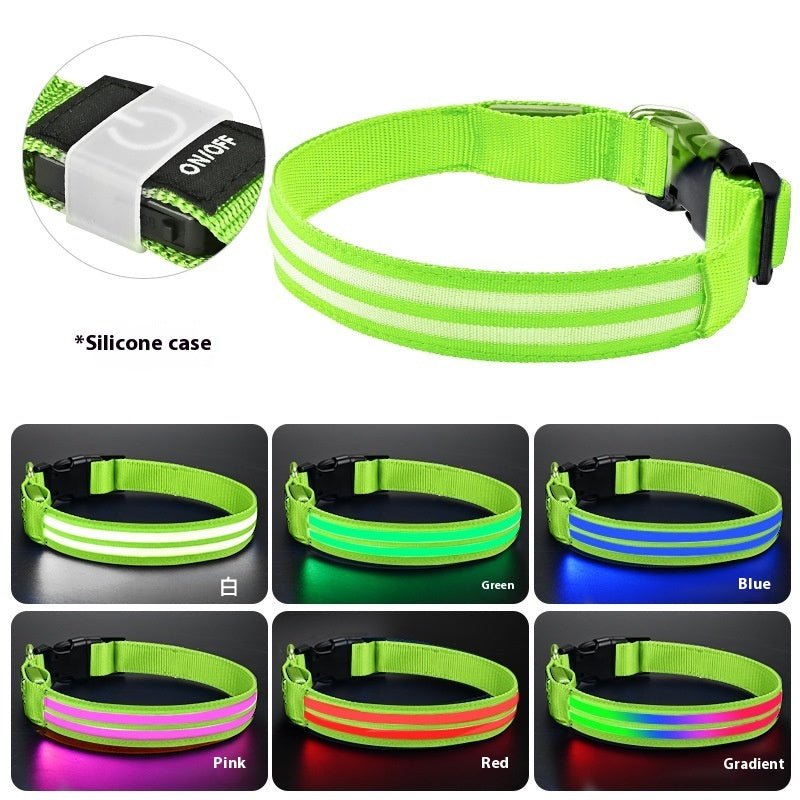 Leuchtendes LED Hundehalsband für Hunde – wiederaufladbar und wasserdicht, ideal für Spaziergänge bei Nacht.