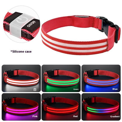Leuchtendes LED Hundehalsband für Hunde – wiederaufladbar und wasserdicht, ideal für Spaziergänge bei Nacht.