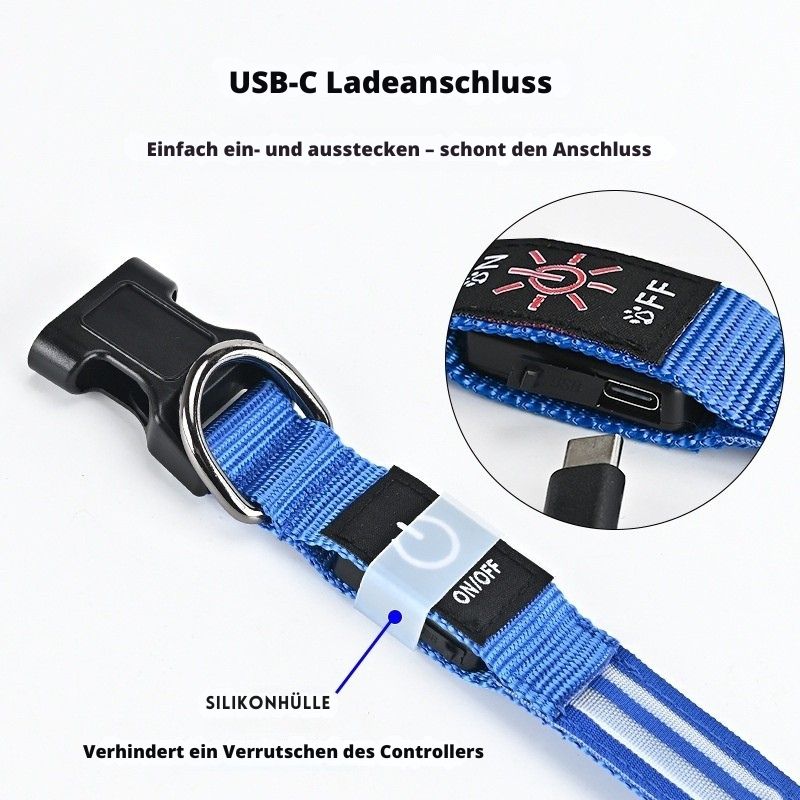 Leuchtendes LED Hundehalsband für Hunde – wiederaufladbar und wasserdicht, ideal für Spaziergänge bei Nacht.
